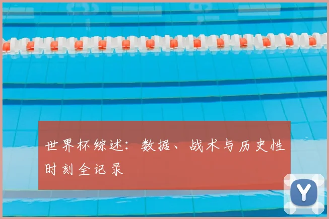 世界杯综述：数据、战术与历史性时刻全记录