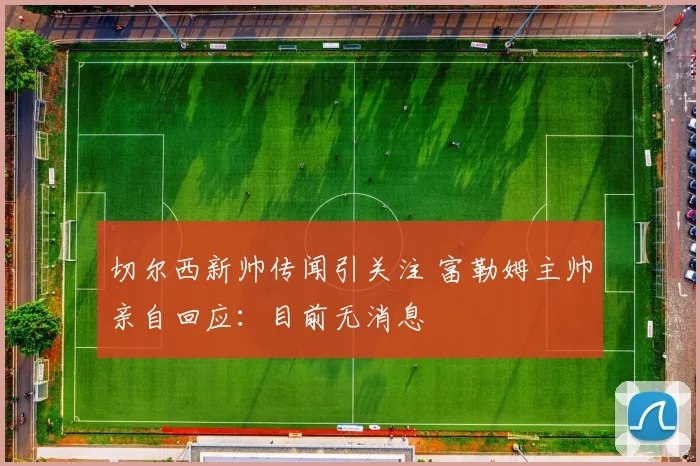 切尔西新帅传闻引关注 富勒姆主帅亲自回应：目前无消息